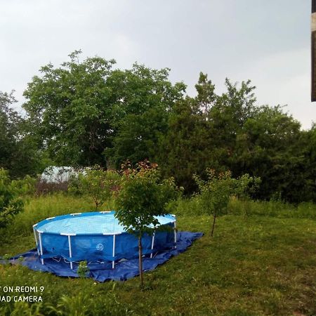 Vila Milica Kraljevo Bagian luar foto
