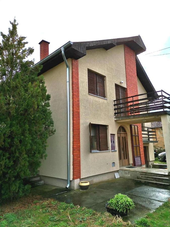 Vila Milica Kraljevo Bagian luar foto