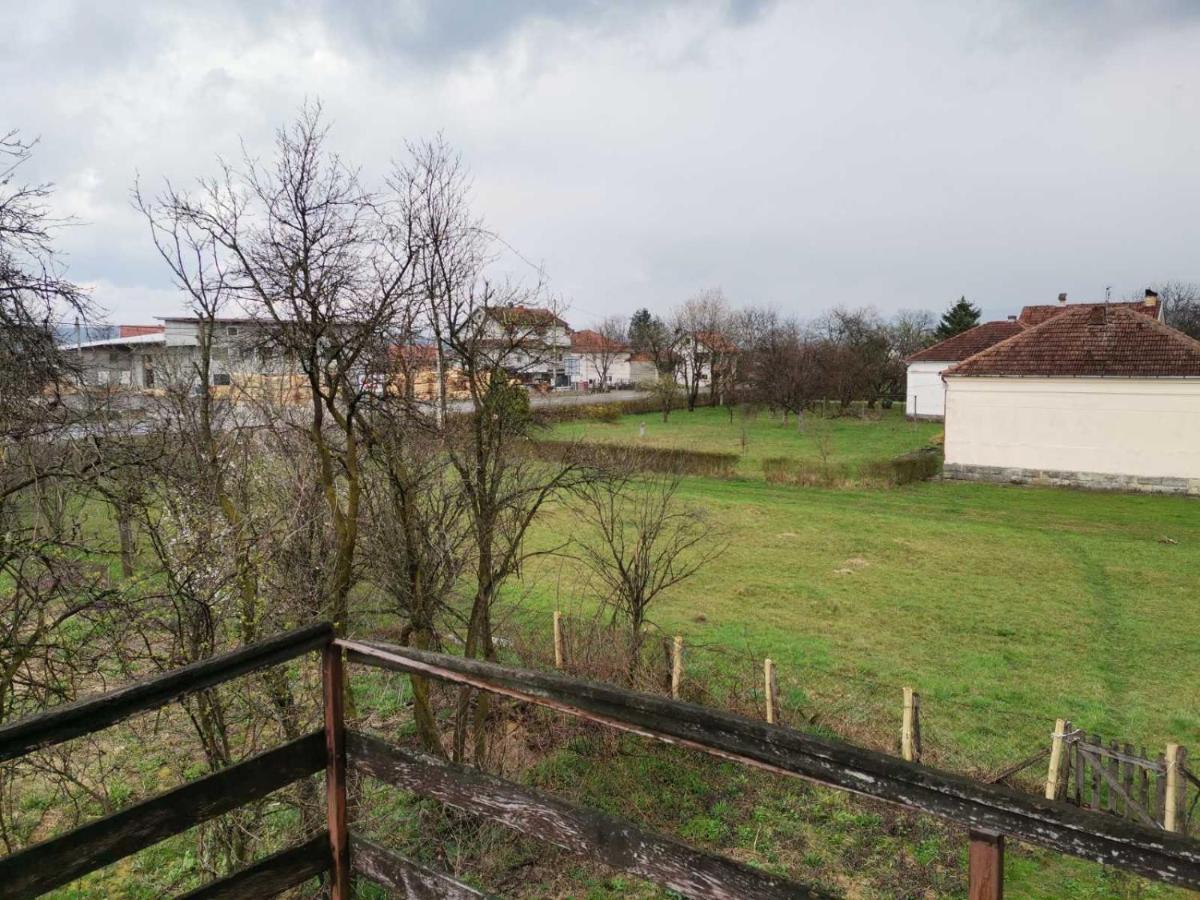 Vila Milica Kraljevo Bagian luar foto