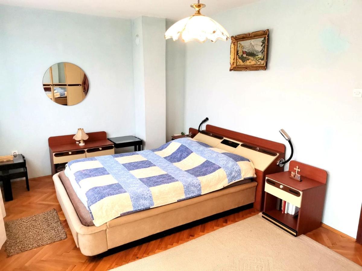 Vila Milica Kraljevo Bagian luar foto