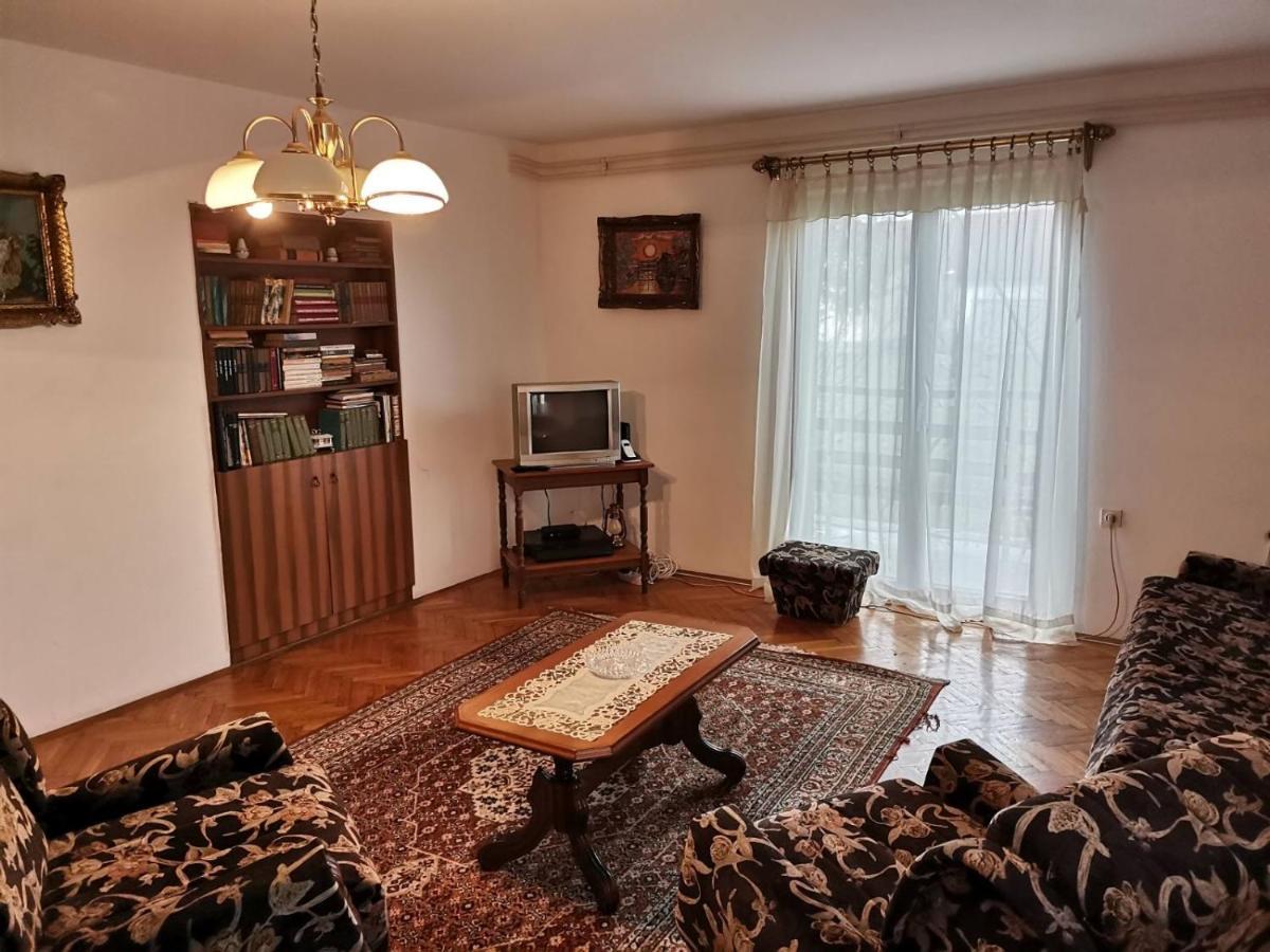 Vila Milica Kraljevo Bagian luar foto