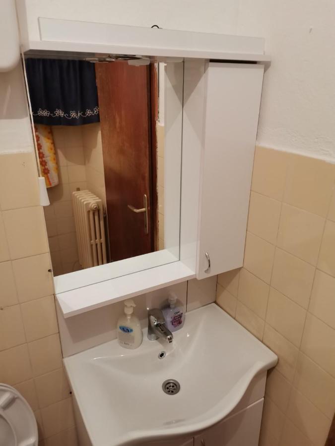 Vila Milica Kraljevo Bagian luar foto