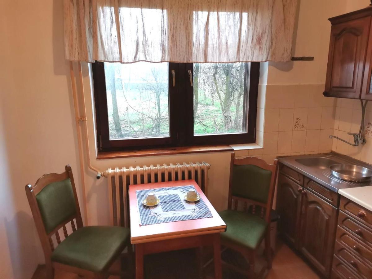 Vila Milica Kraljevo Bagian luar foto