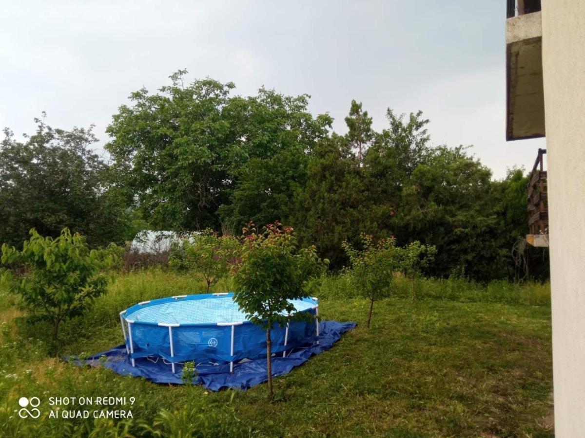 Vila Milica Kraljevo Bagian luar foto