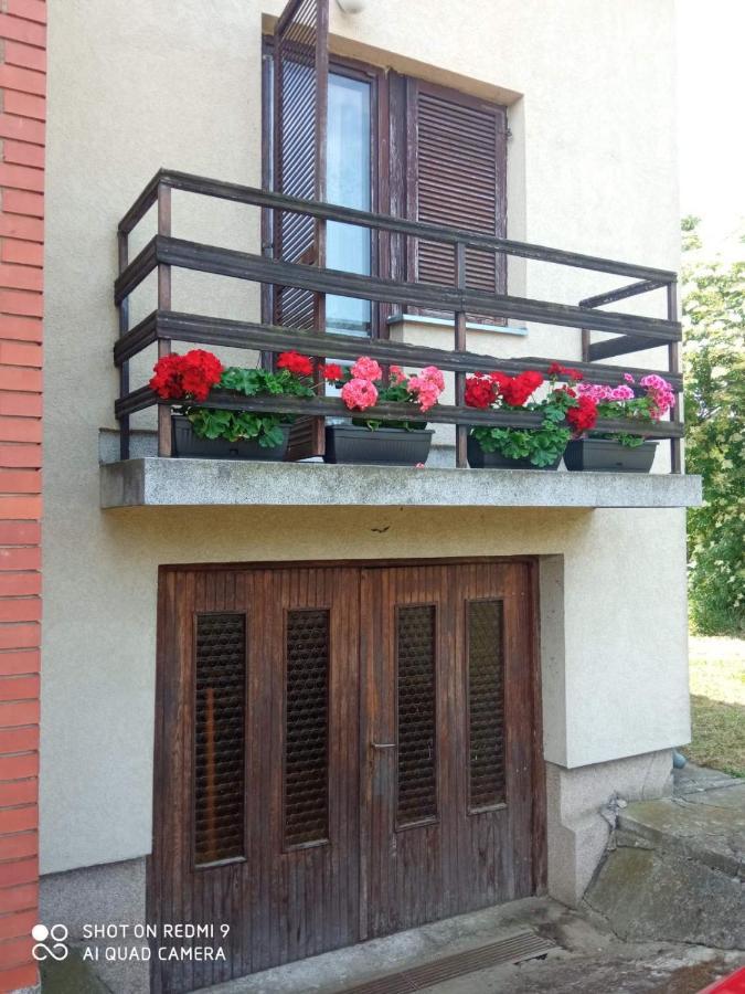 Vila Milica Kraljevo Bagian luar foto
