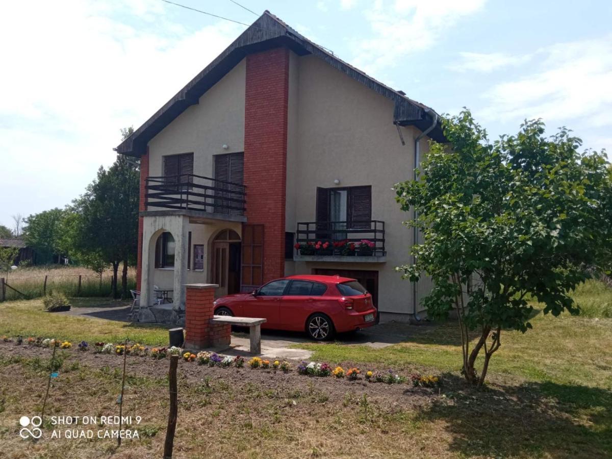 Vila Milica Kraljevo Bagian luar foto